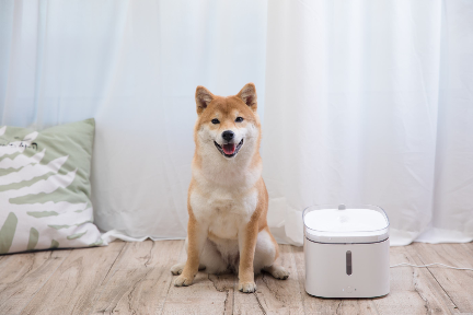 ペット用品のスマート化進む 猫や犬向けの自動給水器が人気 36kr Japan 最大級の中国テック スタートアップ専門メディア