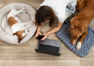ペット専門獣医師向けのオンライン教育プラットフォームに熱視線 地方の人材不足解消を目指す