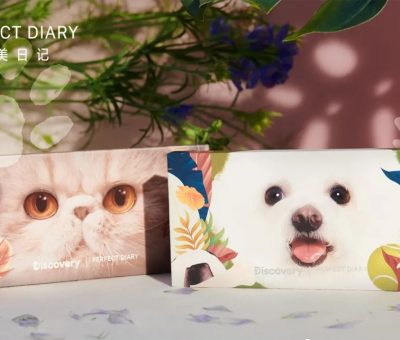 ダイアリー パーフェクト