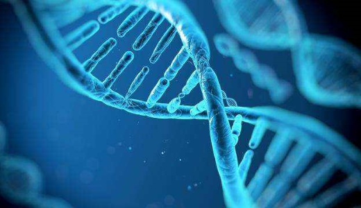 6500円で遺伝子検査可能、新興バイオテック「Genebox」が6億円調達