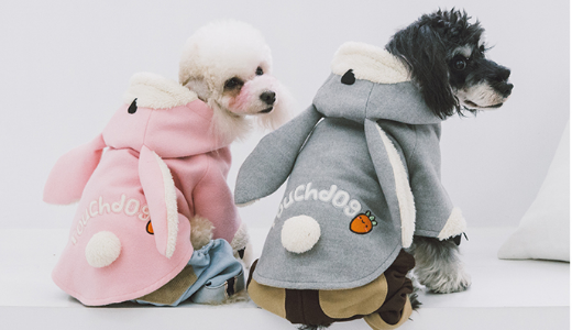 ペット用品の「Touchdog」：シリーズPre-Aで数億円を調達