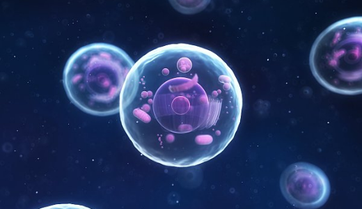CAR-T細胞治療薬の「亘喜生物」：シリーズBで約95億円を調達