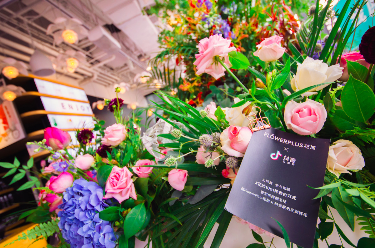 生花ネット通販の「花加（Flowerplus）」、サブスク式＋産地直送を武器に事業拡大へ