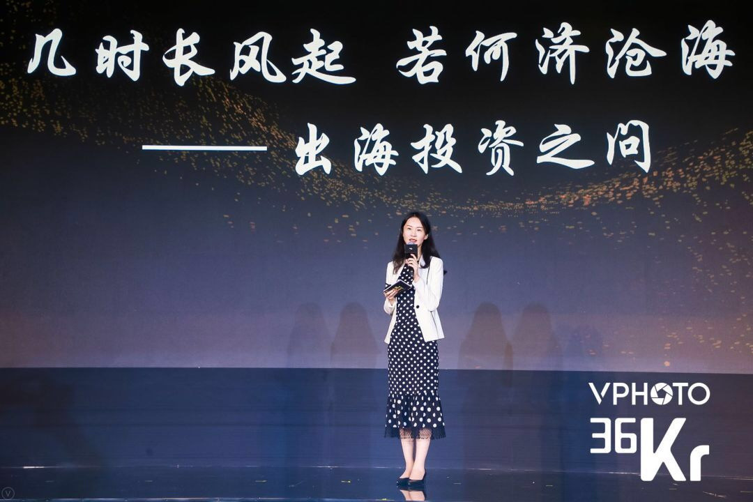 中国資本の海外投資概況とその落とし穴、「現地化を徹底すべき」