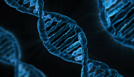 遺伝子検査関連サービスの「Genebox」：シリーズAで約15億円を調達