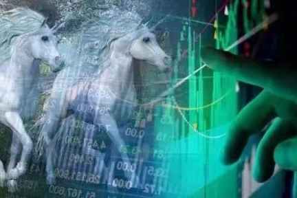 2019年胡潤グローバルユニコーン企業ランキング：中米両国が8割強を占める