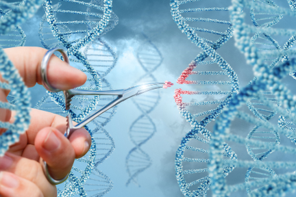 ゲノム創薬の「Exegenesis Bio」：約11億円を調達