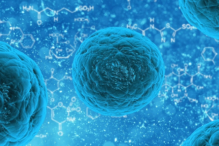 がん治療薬開発の「開拓薬業」：約49億円を調達