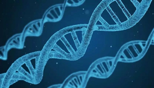 遺伝子治療の「ViGeneron」：シリーズAで資金を調達