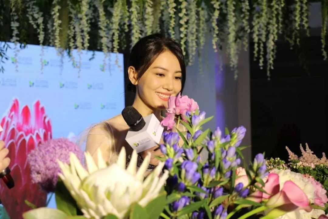 2019年の資金調達は1回のみ　ブーム去った中国の生花ECビジネス