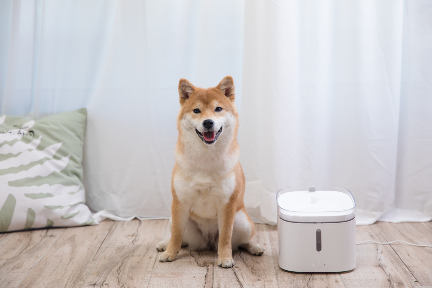 ペット用品のスマート化進む、猫や犬向けの自動給水器が人気