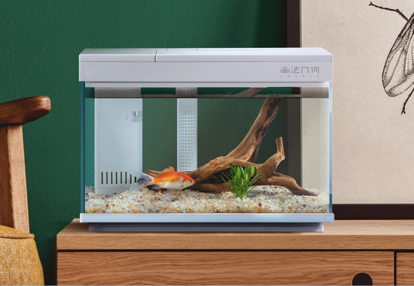 IoT活用のスマート水槽、スマホで水槽内環境をコントロール　魚飼育をもっと手軽に