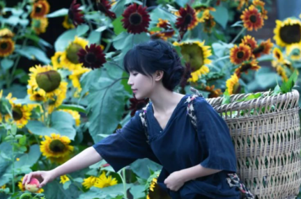 田園生活発信の大人気ユーチューバー李子柒、チャンネル登録数1000万人を突破