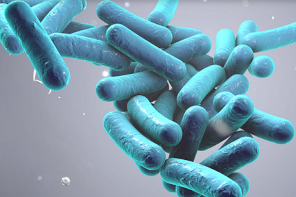 微生物の解析技術「HUGO BIOTECH」、約34億円を調達　今年に入り3回目