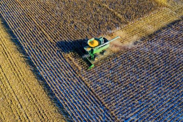 1億件の育成データをAIで分析　中国新興、ジャガイモの栽培からサプライチェーンまで最適化支援