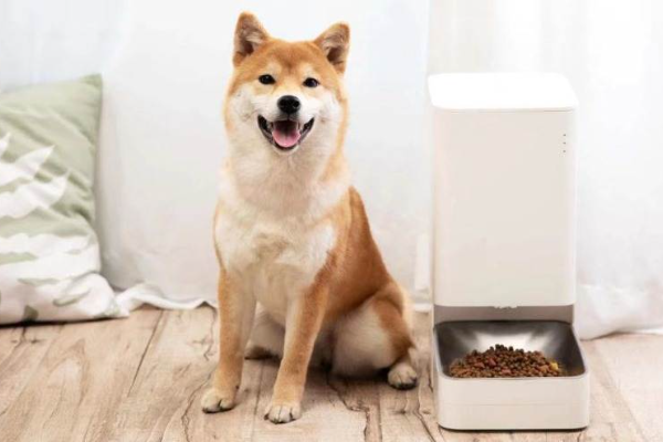 海外市場を狙うペット用スマートデバイスの「KITTEN & PUPPY」がシリーズAで数億円を調達