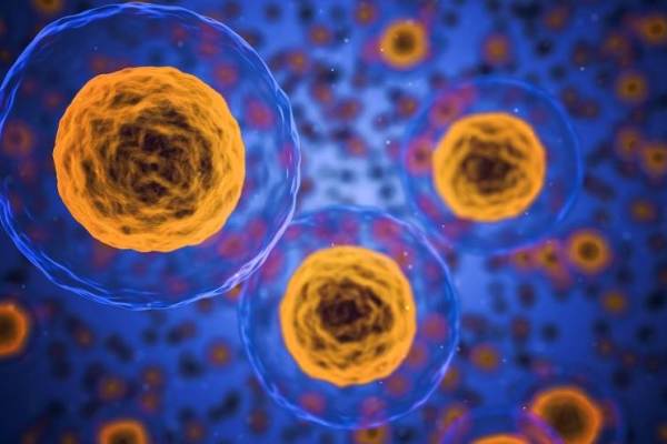 米シングルセル解析「10x Genomics」をベンチマークにする「万乗基因」が数億円を調達
