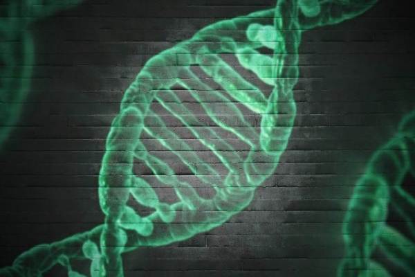 子供の遺伝性疾患を早期発見。遺伝子検査サービス「CIPHER GENE」が資金調達