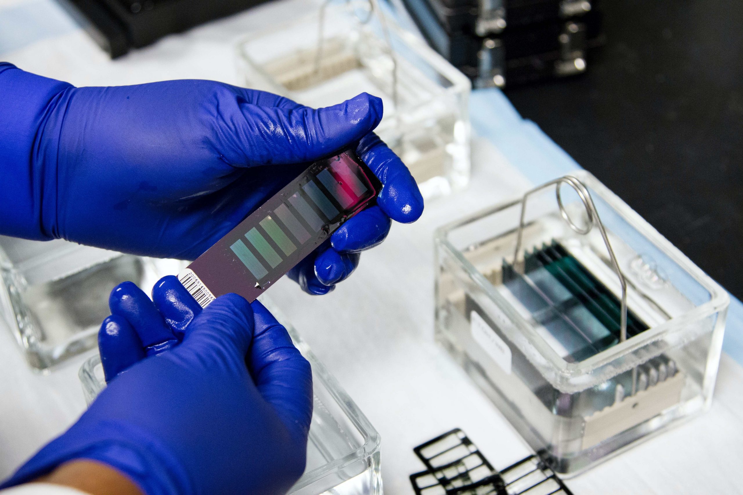 創薬加速化させる生体機能チップ開発、中国新興が資金調達