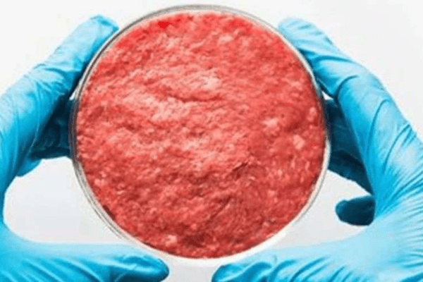 シンガポールの代替肉「Next Gen Foods」が資金調達、米国展開を強化