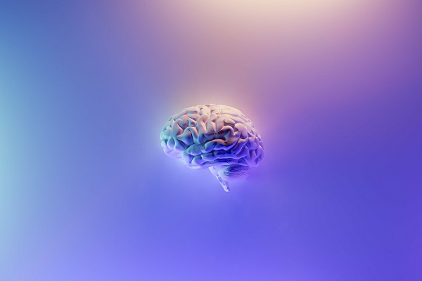 脳科学企業「Neural Galaxy」が約84億円調達　脳疾患への精密介入を実現