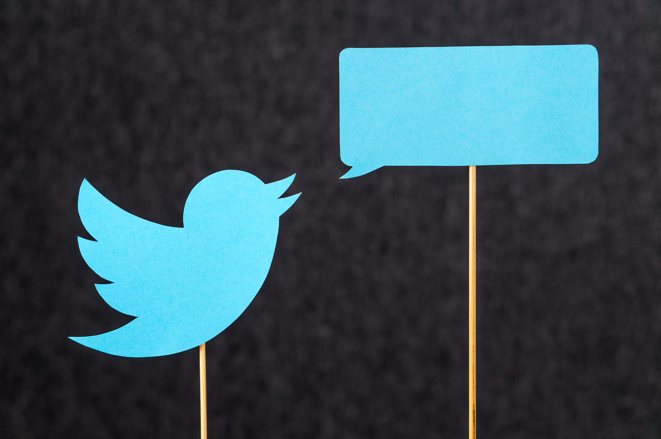 中国、テスラを通じてツイッターに影響力？　外交部：「根拠なし」　