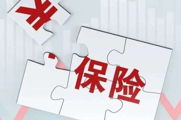 中国の保険大手4社、1~6月の保険料収入データ発表　損害保険が好調