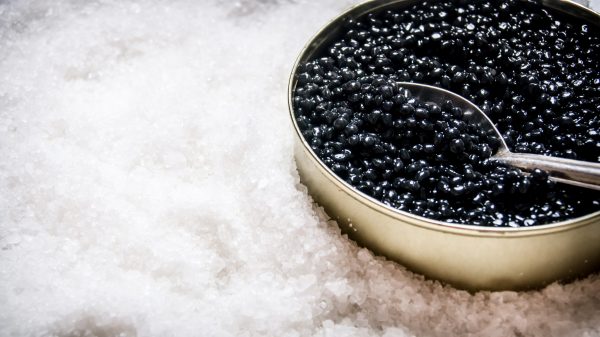 中国産キャビア、日本向け輸出は2.6倍増　RCEP発効で拡大