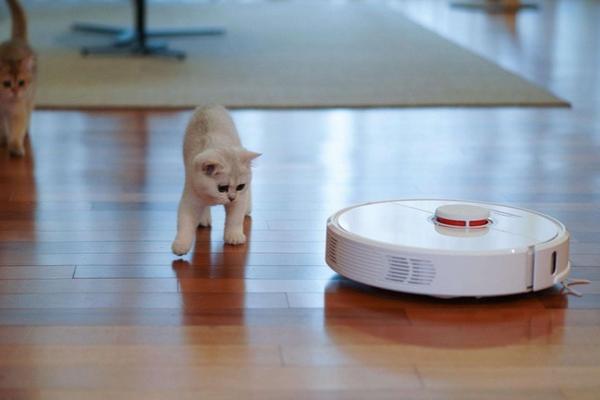 成長続ける中国の小型家電産業、掃除ロボット市場の成長は頭打ちか