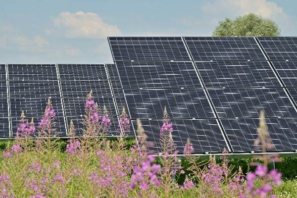 ゼロカーボン産業パークの建設・運営を推進、太陽光発電の「光宇兆能」が約25億円を調達