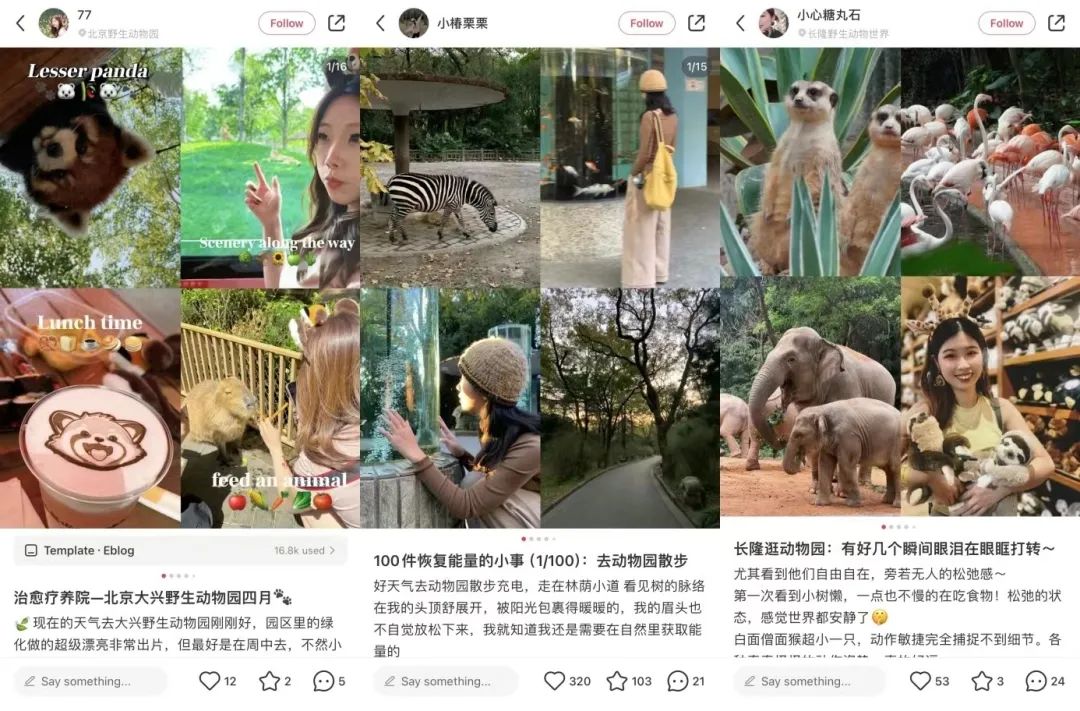 ディズニーより魅力的？中国の若者が動物園に殺到するわけ