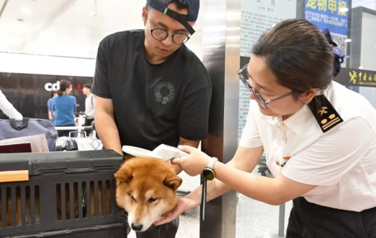 中国初、ペット同伴可の海外旅行チャーター便運航