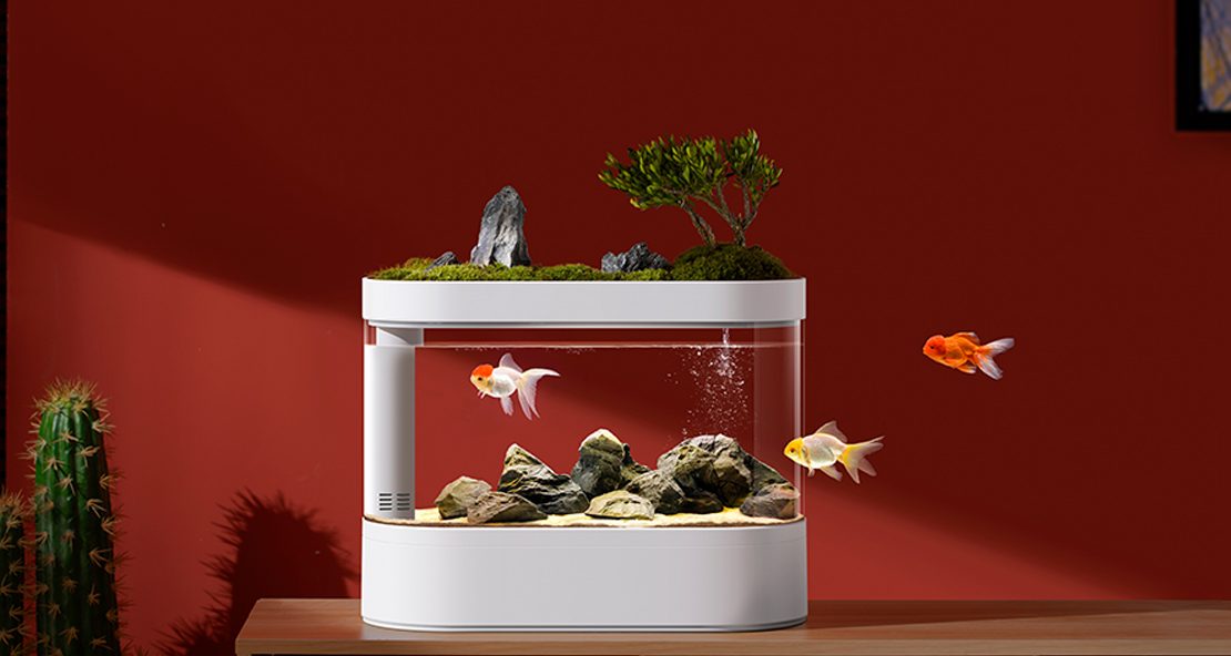 初心者でも簡単に鑑賞魚を飼育、AIoT活用のスマート水槽が人気　日本市場も狙う