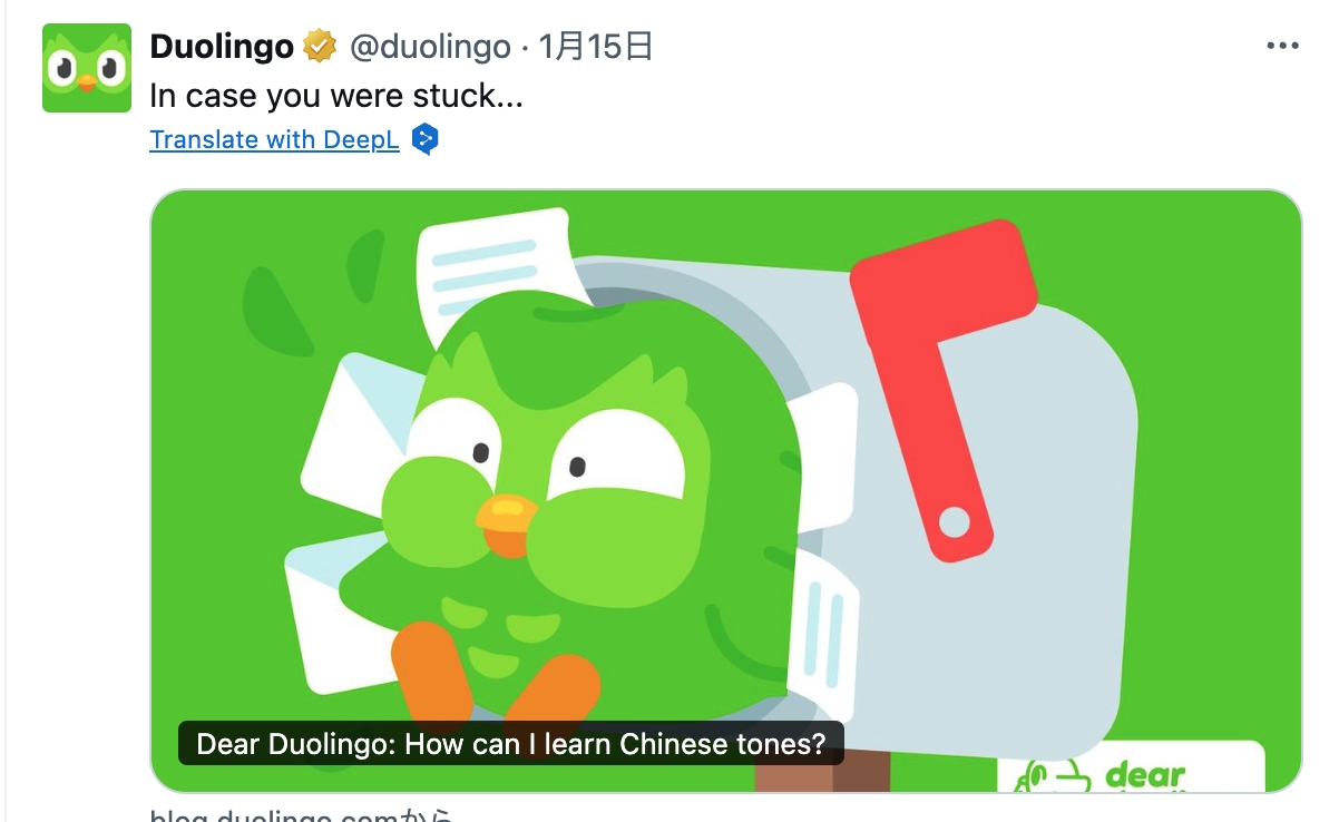 TikTok禁止騒動の余波、語学アプリ「Duolingo」で中国語学習もブームに