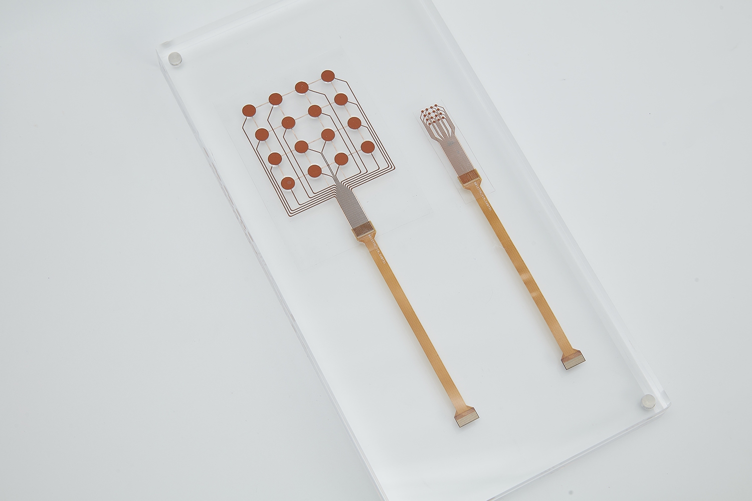 次世代「電子スキン」、普及拡大。中国スタートアップ、世界初の静電型フレキシブルセンサー量産へ