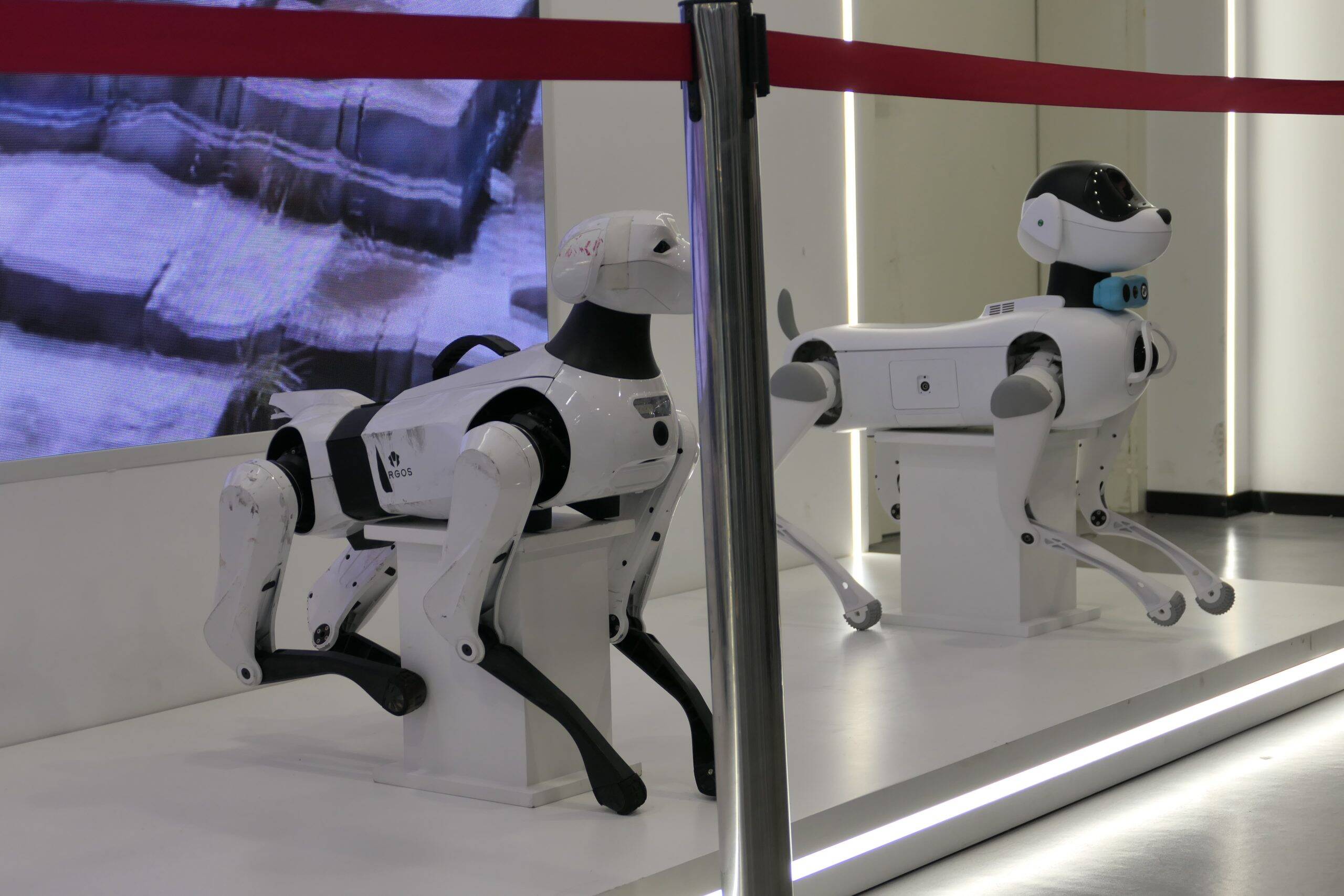 人型より「ロボット犬」で稼ぐ　中国DEEP Robotics、売上倍増見通しでIPOへ