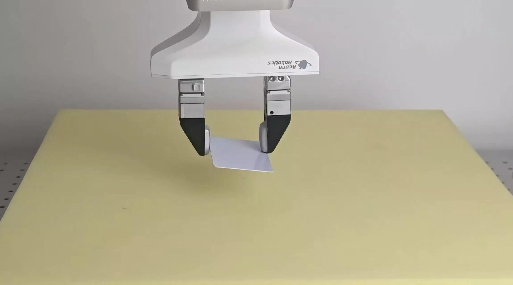 「自由度は1つで十分」　清華大発Acorn Robot、“本能”で動くロボットAIに挑む