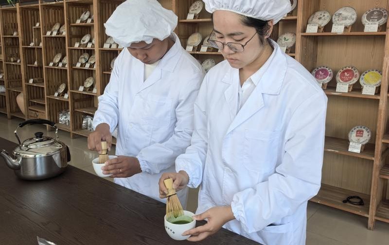 中国「プーアル茶」の故郷、有機抹茶に参入　年産500トン規模